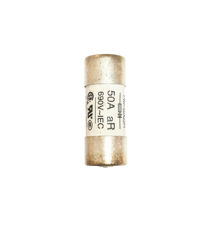 FWP-50A22FI 50A 690VAC 22x58  PİMLİ