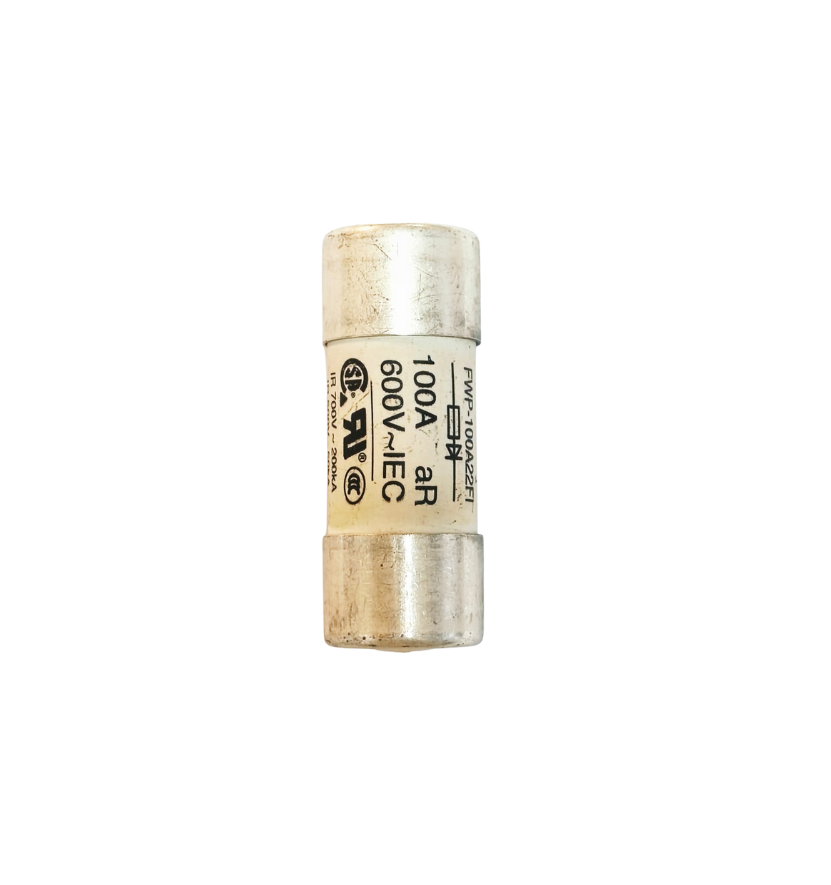 FWP-100A22FI 100A 690VAC 22x58  PİMLİ