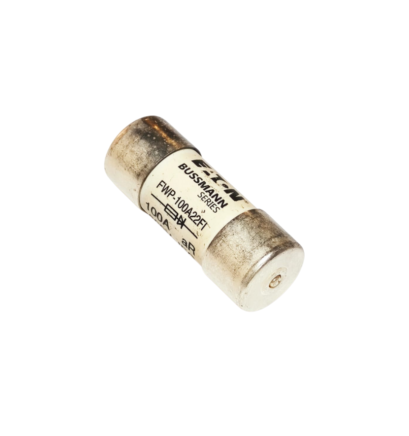 FWP-100A22FI 100A 690VAC 22x58  PİMLİ