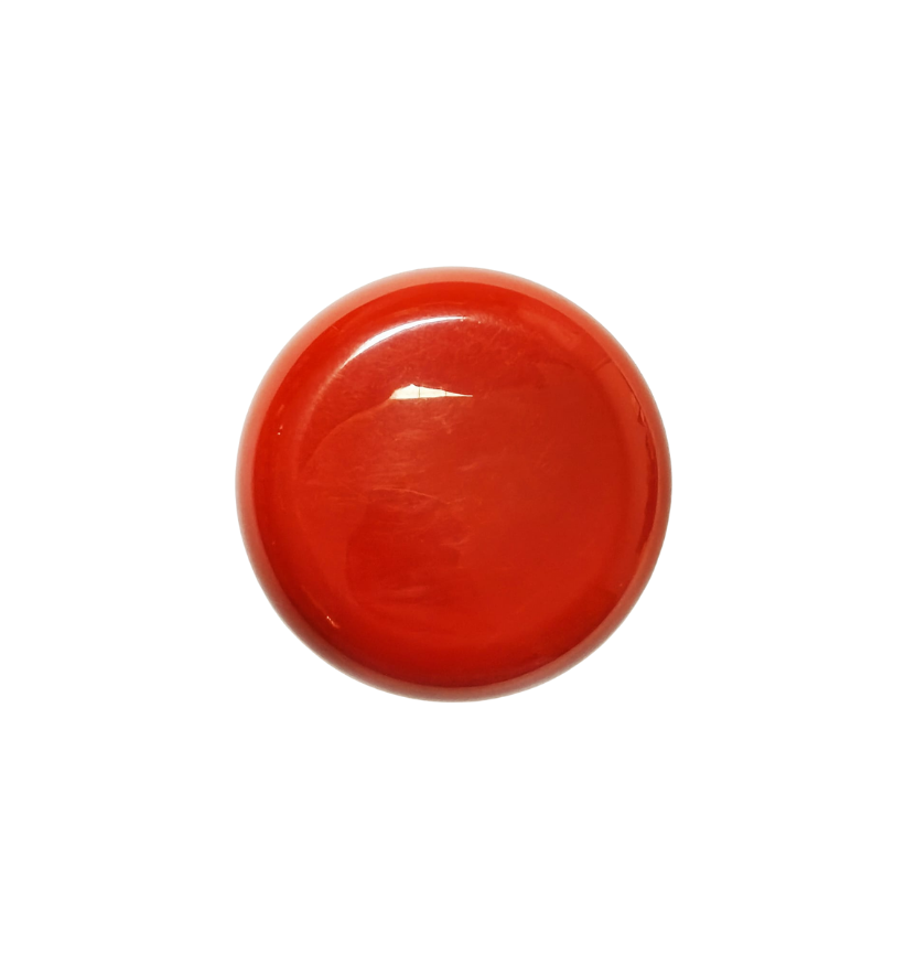 Albright 2200-6 Kırmızı Acil Stop Buton Başlığı